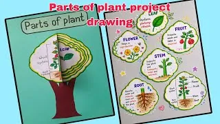 Thumbnail: parts of plants project drawing \ How to make project parts of plant \ save tree poster drawing 
