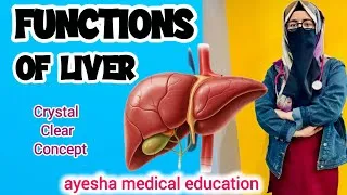 Thumbnail: Functions of Liver | Liver Anatomy | @ayeshamedicaleducation