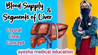 Thumbnail: HEPATIC SEGMENTS OF LIVER | BLOOD SUPPLY OF LIVER | LIVER ANATOMY @ayeshamedicaleducation