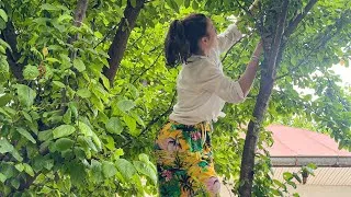 Thumbnail: Simple Living in the Village | Cozy Spring Days Cooking | Rural Lifestyle