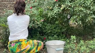 Thumbnail: Village Morning Routine | Cooking rural style breakfast | Village life in the mountains