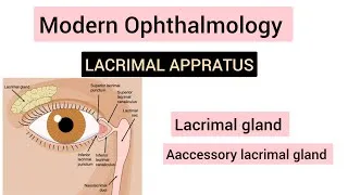 Thumbnail: |Lacrimal system andlacrimal gland in hindi| #lacrimalgland #lacrimalappratus