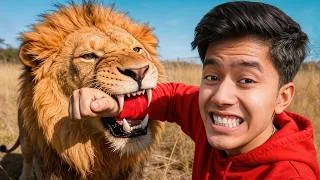 Thumbnail: Living with Lion for a day!