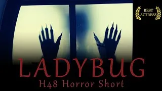 Thumbnail: LADYBUG | Horror Short Film (h48 2025)
