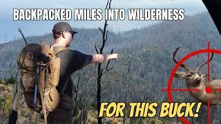 Thumbnail: Backpacked Miles Into Wilderness for THIS Buck | Solo Public Land Hunt