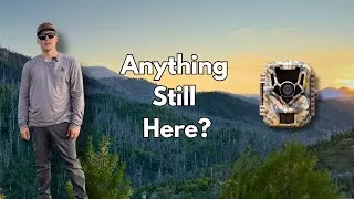Thumbnail: Overnight Backpacking Adventure: Setting Up Wildlife Cameras
