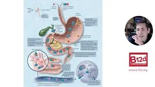 Thumbnail: Julian Owen - A Deeper Dive Into Current Research On Vitamin B12