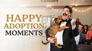Thumbnail: These Dogs Adopt Their Lovely Humans 💖 A Sweet Story #dogs #viralvideo #adoptdontshop #foryou 