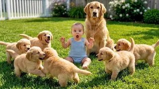 Thumbnail: Funny Baby Video | Baby and Puppies Chaos with Big Dog 🐶
