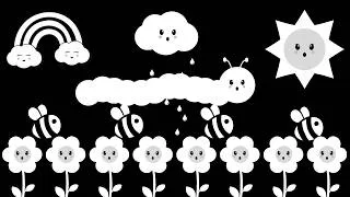Thumbnail: Baby Bear | Animals floating in the Space | Visual Engagement and Calming Music
