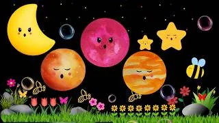 Thumbnail: Baby Bear | Cute Sensory | Calming Visuals for Babies To Sleep