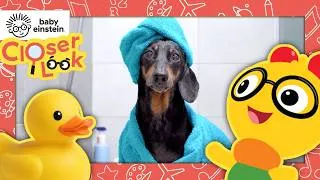 Thumbnail: A Closer Look at Sounds around the House | Baby Einstein | Learning Show for Toddlers | Education
