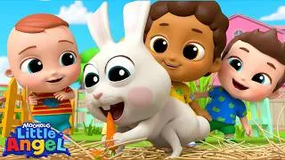 Thumbnail: Baby John Chooses a Class Pet! 🐰  | BABY JOHN™ Playtime Kids Songs & Nursery Rhymes | Little Angel