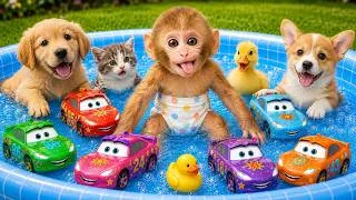Thumbnail: Bim Bim the little monkey drives a tractor to carry colorful toy cars and his friends