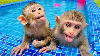 Thumbnail: Monkey Dad Bim Bim & Son Obi Help Baby Rabbit Harvest Vegetables and Swim in the Garden 🐵🐰