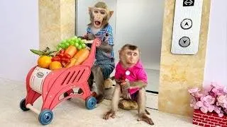 Thumbnail: Baby monkey Bim Bim harvests a cart vegetables in the garden | Funny story about a monkey (1 hour)