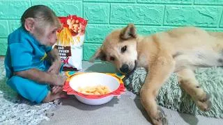 Thumbnail: So Emotional! Baby CUTIS Refuses to Leave His Sick Puppy