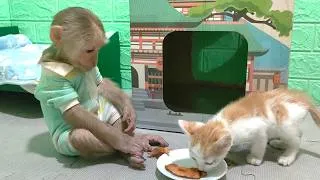 Thumbnail: Baby CUTIS Spoiled a Little Kitten With His Special Fried Fish!