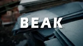 Thumbnail: NT4GREEZ X NT4p30 - BEAK (Official Music Video) S&E by @Babypicassofilms