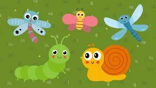 Thumbnail: Tiny Bug Adventure Baby Sensory