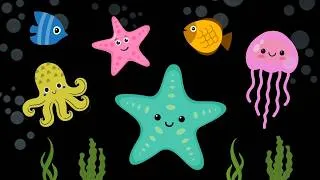Thumbnail: Starfish Ocean Party | Baby Sensory