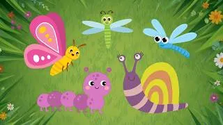 Thumbnail: Little Bug Dance Party | Baby Sensory