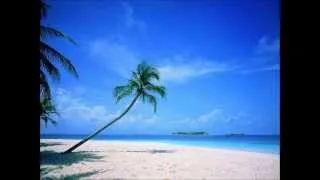 Thumbnail: Bach piano concerto no 5 second movement ( adagio )