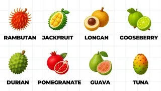 Thumbnail: Every EXOTIC Fruit Ranked by Nutrition — Explained in 35 Minutes (Part II)