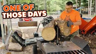 Thumbnail: This, That & the Other - An Afternoon in the Woodyard