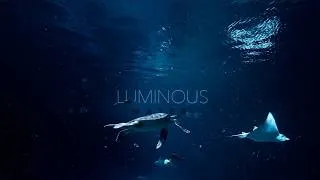 Thumbnail: Ocean Aquarium • no music • Relaxing Underwater Sounds