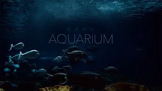Thumbnail: Underwater Ocean Sounds • Dark Aquarium Ambience • Incredibly Immersive