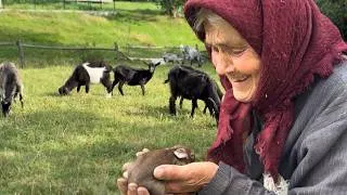 Thumbnail: 85 Years Alone in the Mountains: How a Grandma Survives in a Remote Village