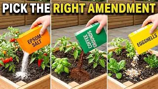 Thumbnail: Epsom Salt vs Coffee Grounds vs Eggshells — A 45-Year Gardener's Verdict