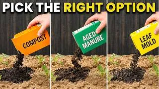Thumbnail: Compost vs Aged Manure vs Leaf Mold — A 45-Year Gardener's Verdict