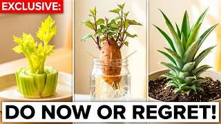 Thumbnail: Do This Right Now in July With Your Kitchen Scraps For Mountains of FREE FOOD!
