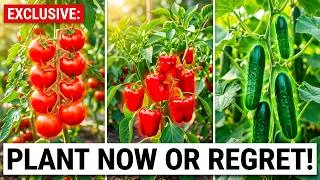Thumbnail: 10 Crops You Must Plant Now in July (Perfect For Heat!)