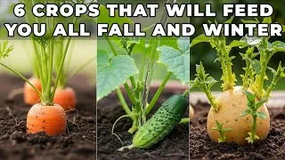 Thumbnail: Don't Miss This July Planting Window (6 Crops to Grow Now)