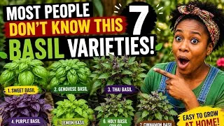 Thumbnail: Most People Don't Know These 7 Amazing Types of Basil
