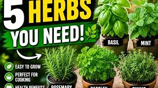 Thumbnail: Most People Ignore These 5 Herbs — But They Shouldn't! (Easy to Grow at Home)