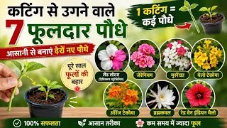 Thumbnail: कटिंग से लगने वाले 7 सुंदर फूल || Grow These unique Flowers From Cuttings & Save Money!