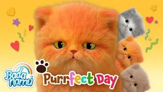 Thumbnail: 😻 (NEW!) PURRfect Day Compilation | Badanamu Nursery Rhymes, ABC Songs, Kids’ Songs, and Lullabies