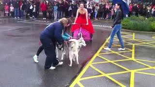 Thumbnail: Huskies at School Prom