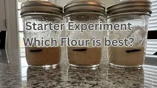 Thumbnail: Which Flour Wins?