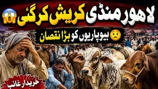 Thumbnail: Latest Lahore Shahpur Kanjra Cow Mandi Updates ❤️‍🔥| Qurbani 2026 💥| Bakra Mandi Pakistan