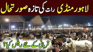 Thumbnail: Latest Lahore Shahpur Kanjra Cow Mandi Updates ❤️‍🔥| Qurbani 2026 💥| Bakra Mandi Pakistan