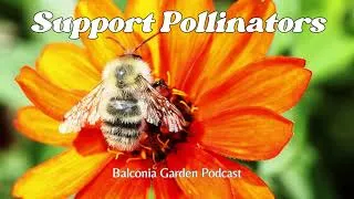 Thumbnail: How To Encourage and Support Pollinators In Our Gardens! Ep. 20