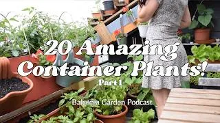Thumbnail: 20 AMAZING Plants To Grow In Containers! Ep 18 | Part 1