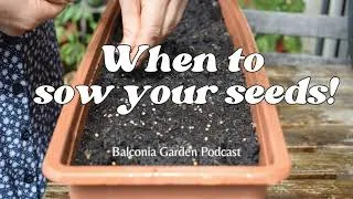 Thumbnail: When To Start Sowing Your Seeds: A Masterclass Ep.16