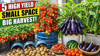 Thumbnail: 5 Easy Rooftop Crops for BIG Harvests and Stress Free Gardening