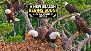 Thumbnail: ONE SEASON ENDS... ANOTHER BEGINS! 🦅 ALEX II & ANDRIA III RETURN TO KNF E-3 | LOUISIANA | 0905.2026